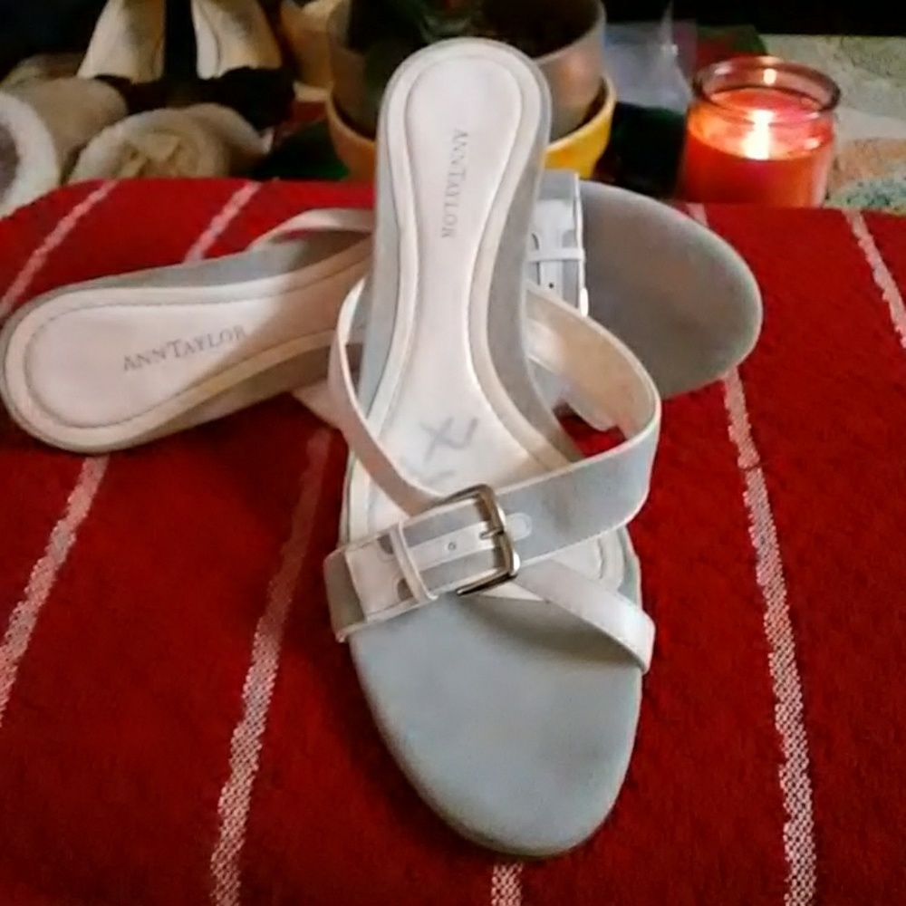 Ann Taylor Woman's Shoes